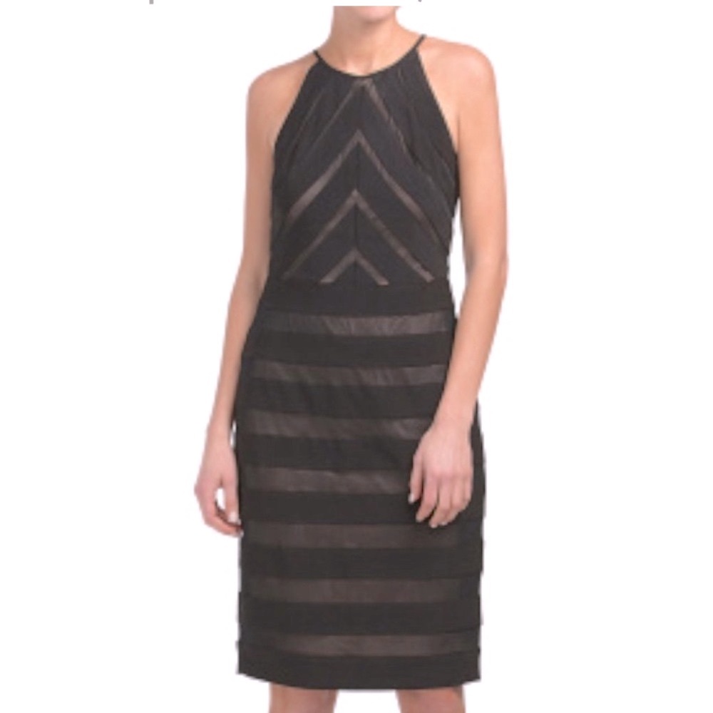 Adriana Papell Sheer Sheath Dress 14 Banded Jersey Mesh Formal Sexy Lined